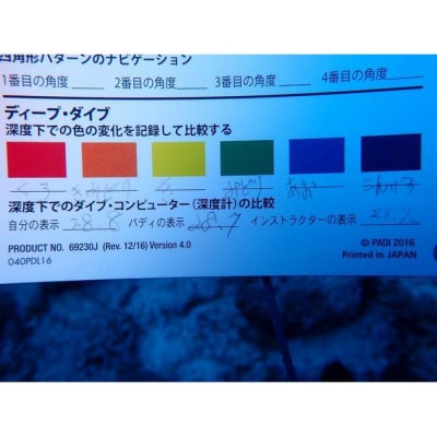 PADIダイビング講習アドバンスコース(1.5日eラーニング)【恩納村ラグーン】