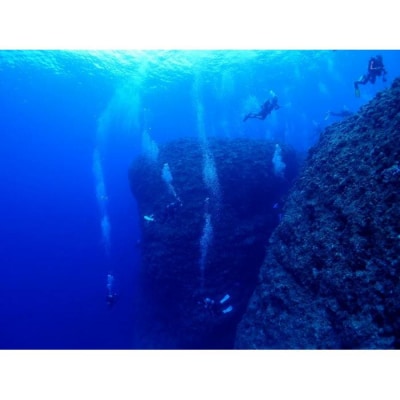 PADIダイビング講習アドバンスコース(1.5日eラーニング)【恩納村ラグーン】