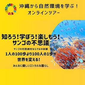 【参加特典付き貸切オンラインツアー】沖縄から自然環境を学ぶ!サンゴの不思議【恩納村ラグーン】