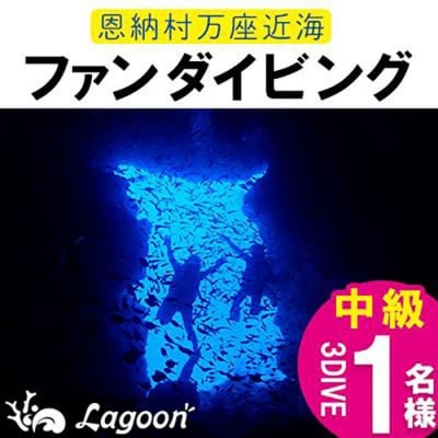 万座近海ファンダイビング中級3DIVE【恩納村ラグーン】