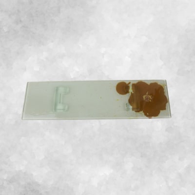 【つづるガラスアート】ゆうなの花　長平皿-HAKU-　1枚