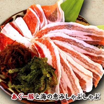 沖縄料理ちぬまん　恩納村4店舗で使える10,000円お食事券