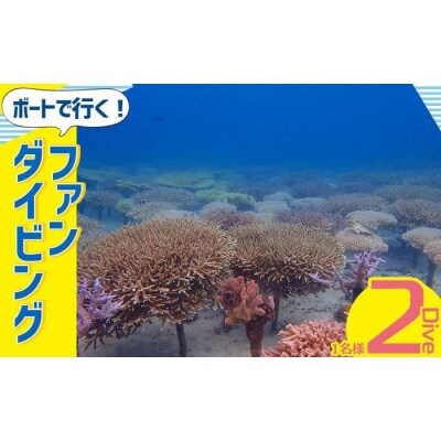 ボートで行く!ファンダイビング(2Dive)