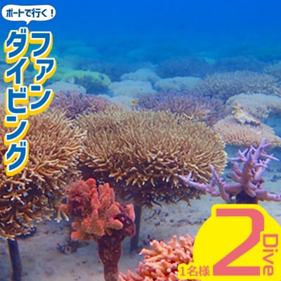 ボートで行く!ファンダイビング(2Dive)
