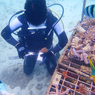 ボートで行く!ファンダイビング(2Dive)