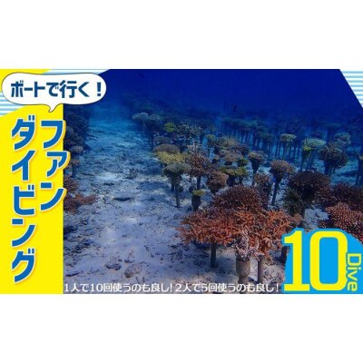 ボートで行く!ファンダイビング(10Dive)