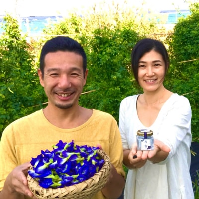 南の島恵み農園 南の島恵み塩4種セット 160g(40g×4個)