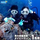青の洞窟 体験ダイビング(ボート)1名様 ふるさと納税限定!|青の洞窟 ダイビング チケット