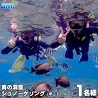 青の洞窟 シュノーケリング(ボート)1名様 ふるさと納税限定!|青の洞窟 シュノーケル チケット