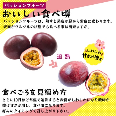 【2026年発送】産地認定!!恩納村産パッションフルーツ(約1kg)