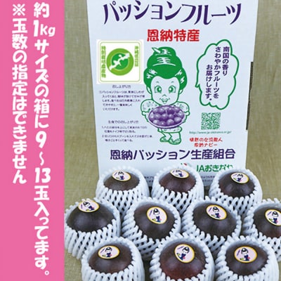 【2026年発送】産地認定!!恩納村産パッションフルーツ(約1kg)