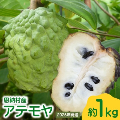 【2026年発送】恩納村産アテモヤ 約1kg