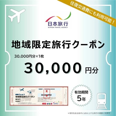 【ふるさと】沖縄県恩納村 地域限定旅行クーポン 30,000円分 日本旅行