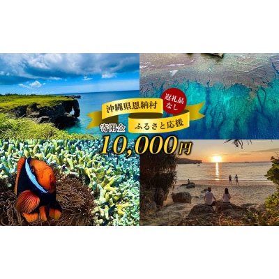 【返礼品なし】沖縄県恩納村ふるさと応援寄附金 10000円
