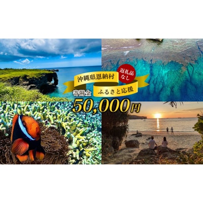 【返礼品なし】沖縄県恩納村ふるさと応援寄附金 50000円