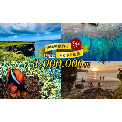 【返礼品なし】沖縄県恩納村ふるさと応援寄附金 1000000円