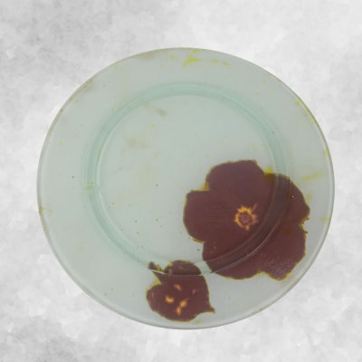 【つづるガラスアート】ゆうなの花　平丸皿-HAKU-　1枚