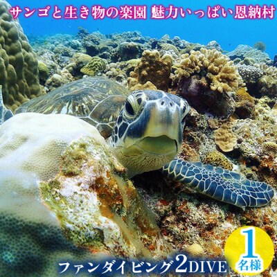 サンゴと生き物の楽園!魅力いっぱい恩納村ファンダイビング(2DIVE)1名様