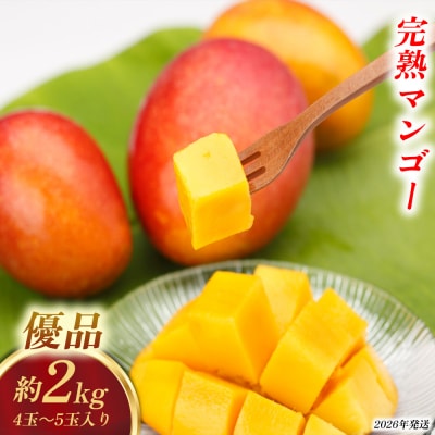 【2026年発送】おんなの駅 優品完熟マンゴー 約2kg(4玉～5玉入り)