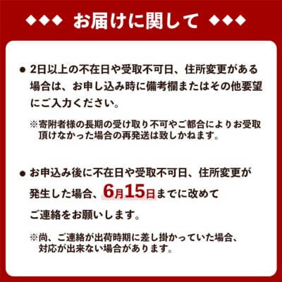 【2026年発送】おんなの駅 優品完熟マンゴー 約2kg(4玉～5玉入り)