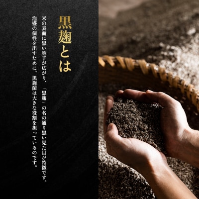 咲元酒造 復刻ラベル30度(720ml×12本)セット
