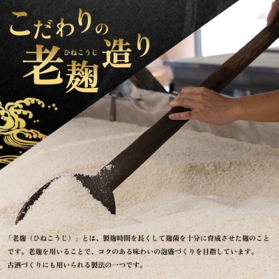咲元酒造 復刻ラベル25度(1800ml×6本)セット