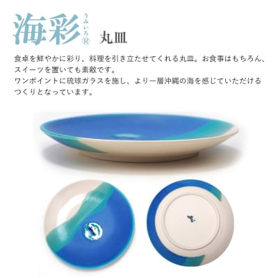 【青風窯:海彩】丸皿 大 1枚(陶芸家・玉田彰)