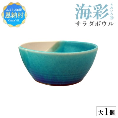 【青風窯:海彩】サラダボウル 大 1個(陶芸家・玉田彰)