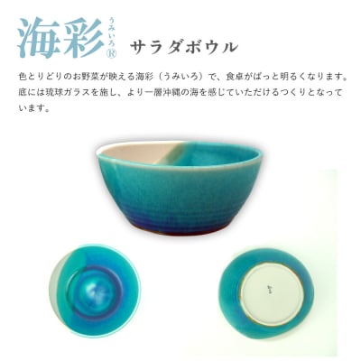 【青風窯:海彩】サラダボウル 大 1個(陶芸家・玉田彰)