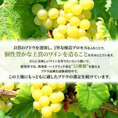 kanonzオリジナルDRY白ワイン2種セット[No.5613-0102]