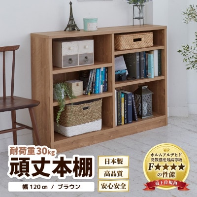頑丈本棚 幅120cm ブラウン(ロータイプ)