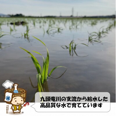真空パックキューブ米3種 300g×3個 特別栽培米《こだわり極上無洗米》