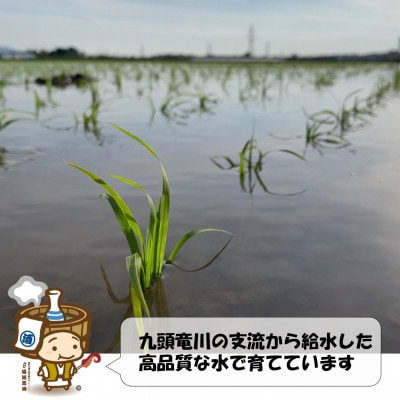 【令和7年度先行予約】特別栽培米ミルキークイーン5kg 《高食味値!こだわり極上玄米》