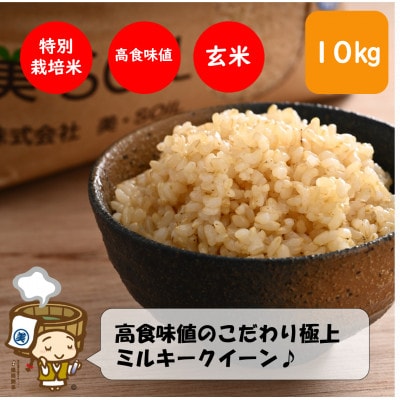 【令和6年度先行予約】特別栽培米ミルキークイーン10kg 《高食味値!こだわり極上玄米》