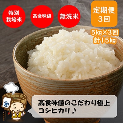 【毎月定期便】特別栽培米コシヒカリ5kg 《こだわり極上無洗米》 全3回