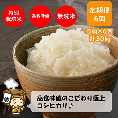 【毎月定期便】特別栽培米コシヒカリ5kg 《こだわり極上無洗米》 全6回