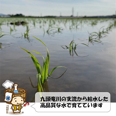 【毎月定期便】特別栽培米ミルキークイーン5kg 《こだわり極上無洗米》 全6回