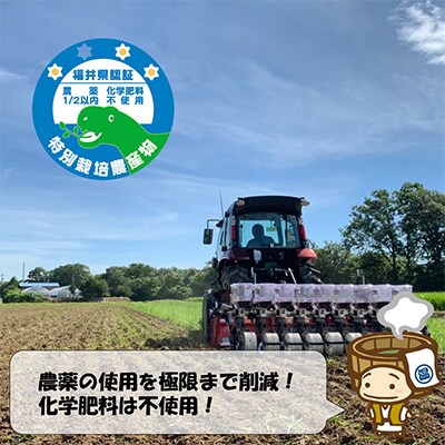 【発送月固定定期便】【先行予約】特別栽培米ミルキークイーン5kg全6回