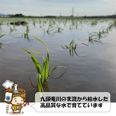 【発送月固定定期便】【先行予約】特別栽培米ミルキークイーン5kg全6回