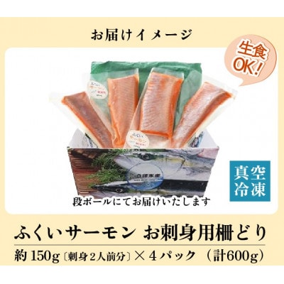 ふくいサーモン 柵どり 150g×4パック 計600g【鮮度抜群!アレンジ自在!真空冷凍】