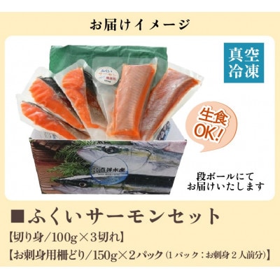 ふくいサーモンセット 計600g(切り身100g×3切・柵どり150g×2パック)