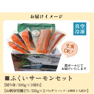 ふくいサーモンセット 計600g(切り身100g×3切・柵どり150g×2パック)