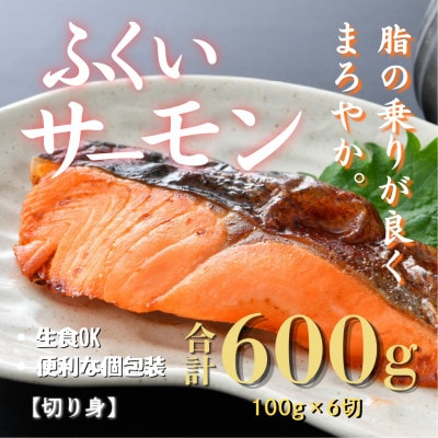 ふくいサーモン 切り身 100g×6切 計600g 【鮮度抜群!アレンジ自在!真空冷凍】