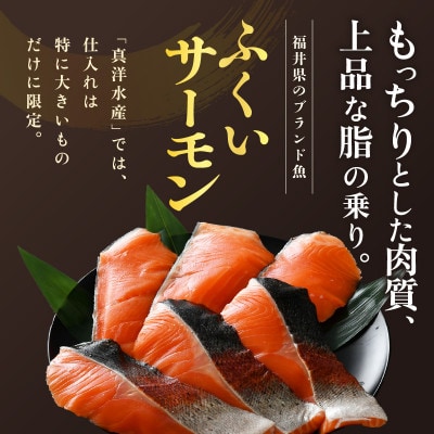 ふくいサーモン 切り身 100g×6切 計600g 【鮮度抜群!アレンジ自在!真空冷凍】