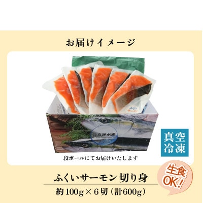 ふくいサーモン 切り身 100g×6切 計600g 【鮮度抜群!アレンジ自在!真空冷凍】
