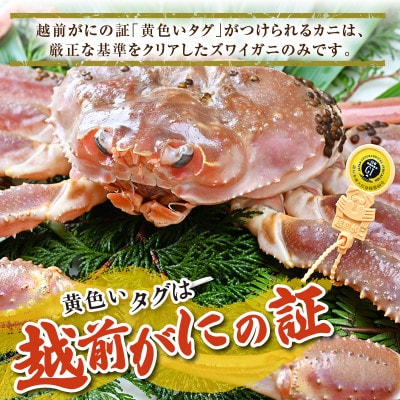 【先行予約】【1月発送限定】茹で越前がに 1杯 750g～900g