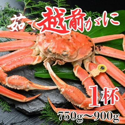 �y��s�\��z�y2����������z䥂ŉz�O���� 1�t 750g�`900g