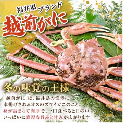 【先行予約】【3月発送限定】茹で越前がに 1杯 750g～900g