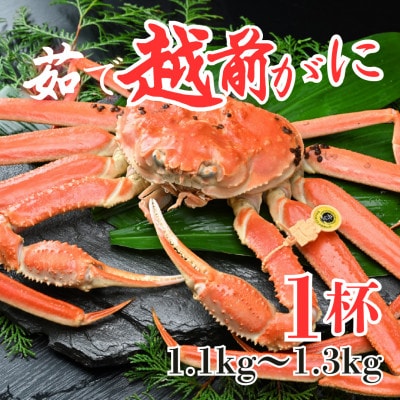 �y��s�\��z�y3����������z䥂ŉz�O���� 1�t 1.1kg�`1.3kg