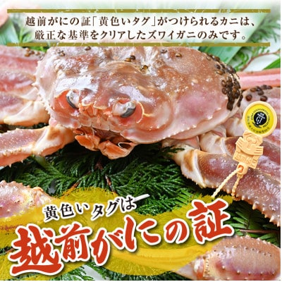 【先行予約】【3月発送限定】茹で越前がに 1杯 1.1kg～1.3kg